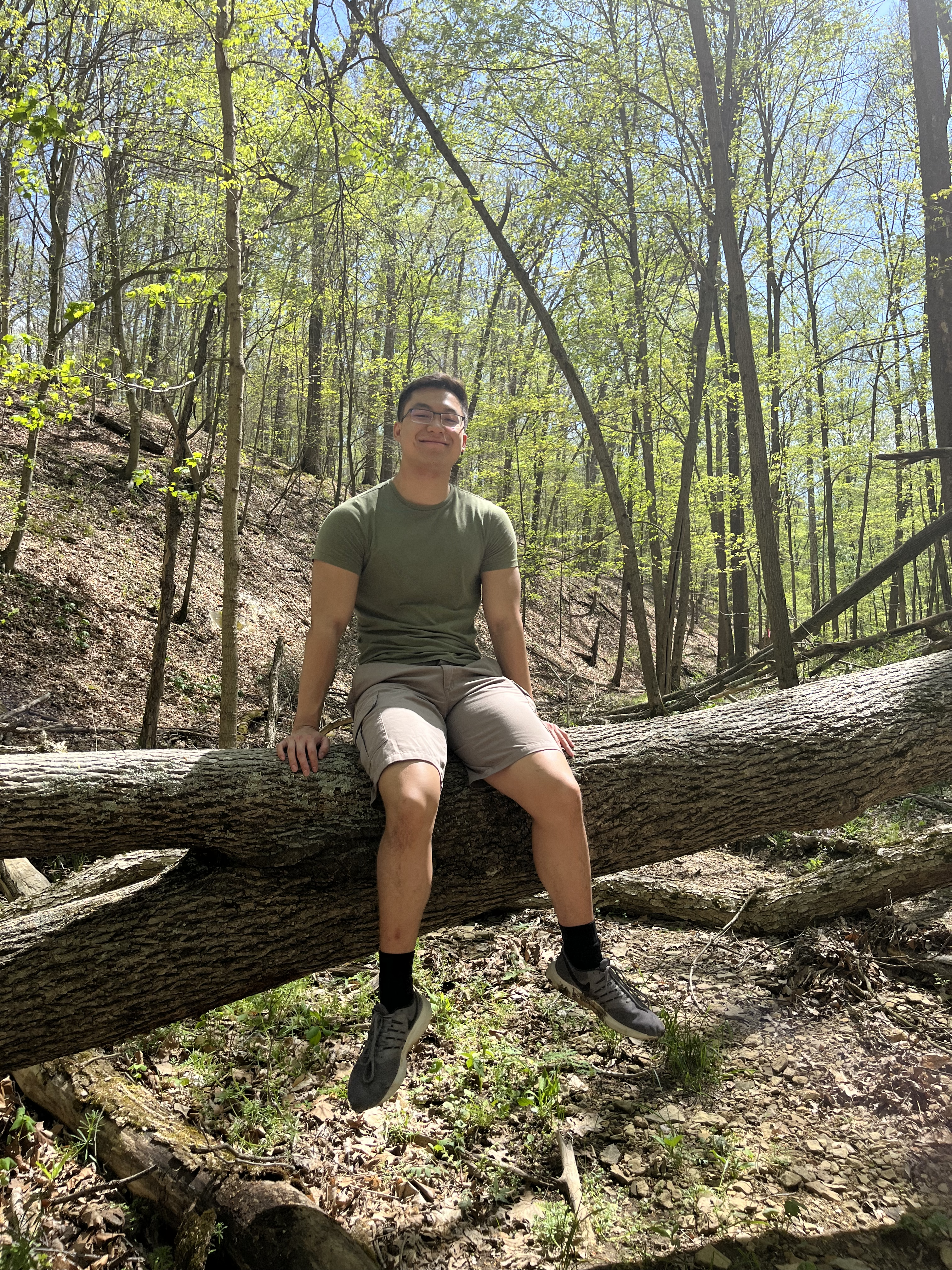 Picture of me siting on a tree